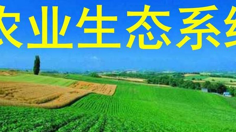 水果种植加盟代理：利润分析及加盟要点