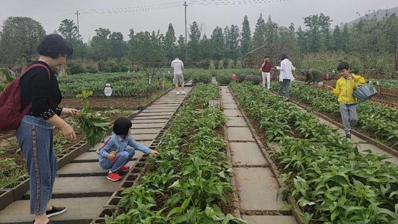 杭州绿色食品生产厂家哪家好