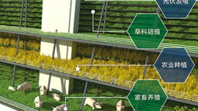塑料大棚连栋温室：农业现代化的重要设施