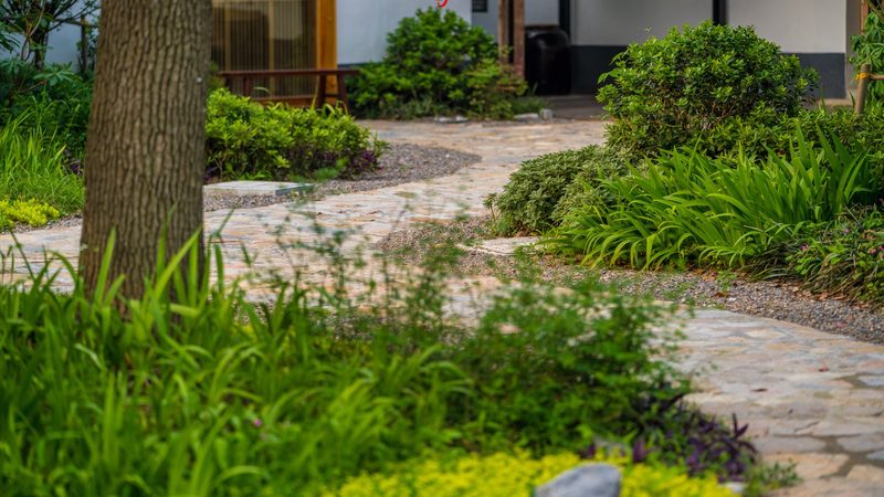 新疆水果种植气候条件加盟：揭秘成功秘诀
