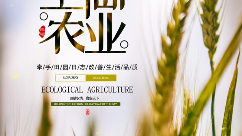 揭秘农资肥料真假辨别：加盟代理的五大关键点