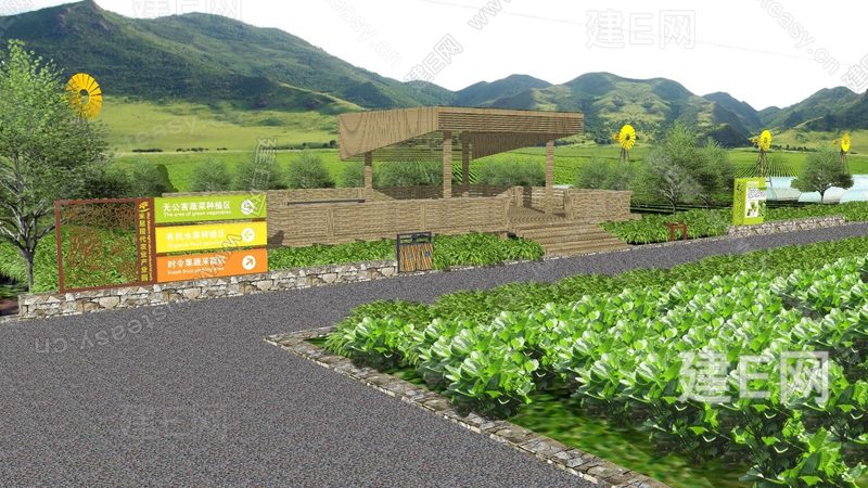合作社与公司对比：农业合作的两种模式解析