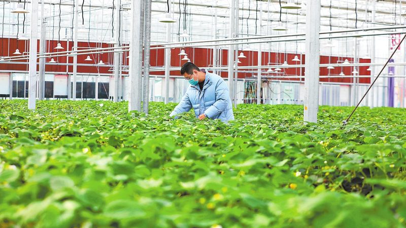 设施农业设备安装流程标准