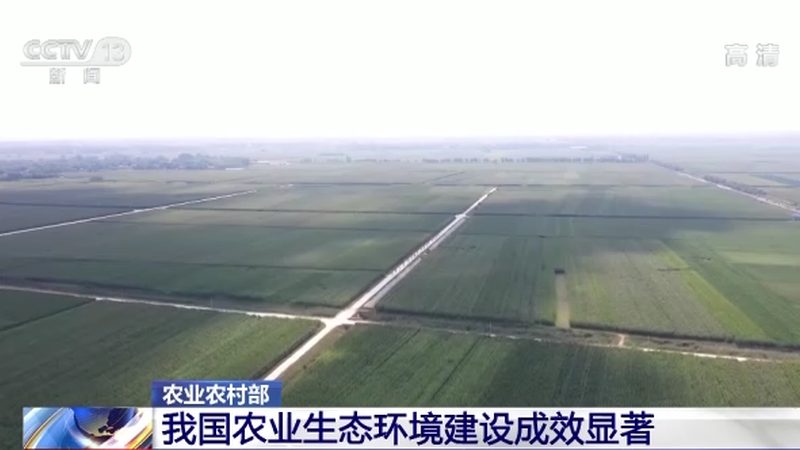 农户与批发商合作，别再只靠一张嘴谈价格