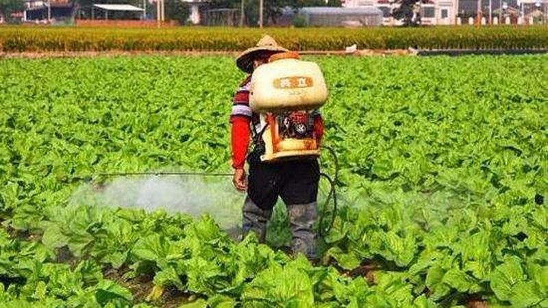 休闲农业补贴申请，你准备好了吗？**
