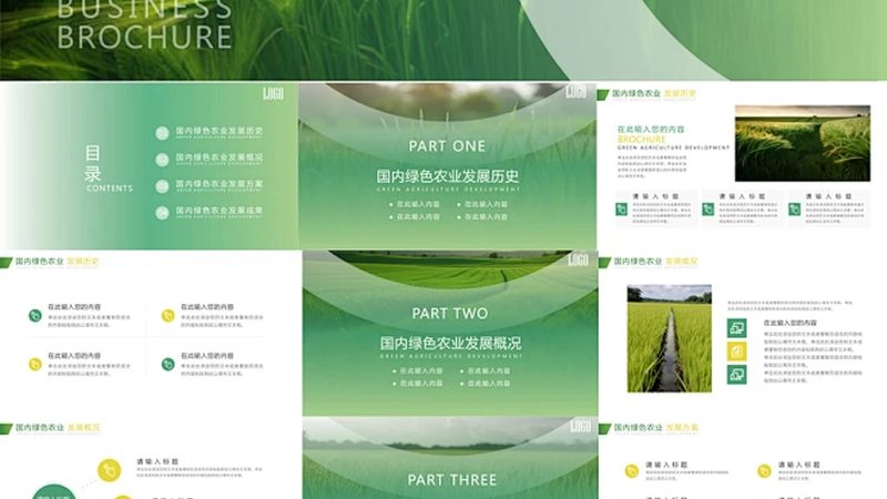 有机蔬菜与普通蔬菜：保存时长大揭秘