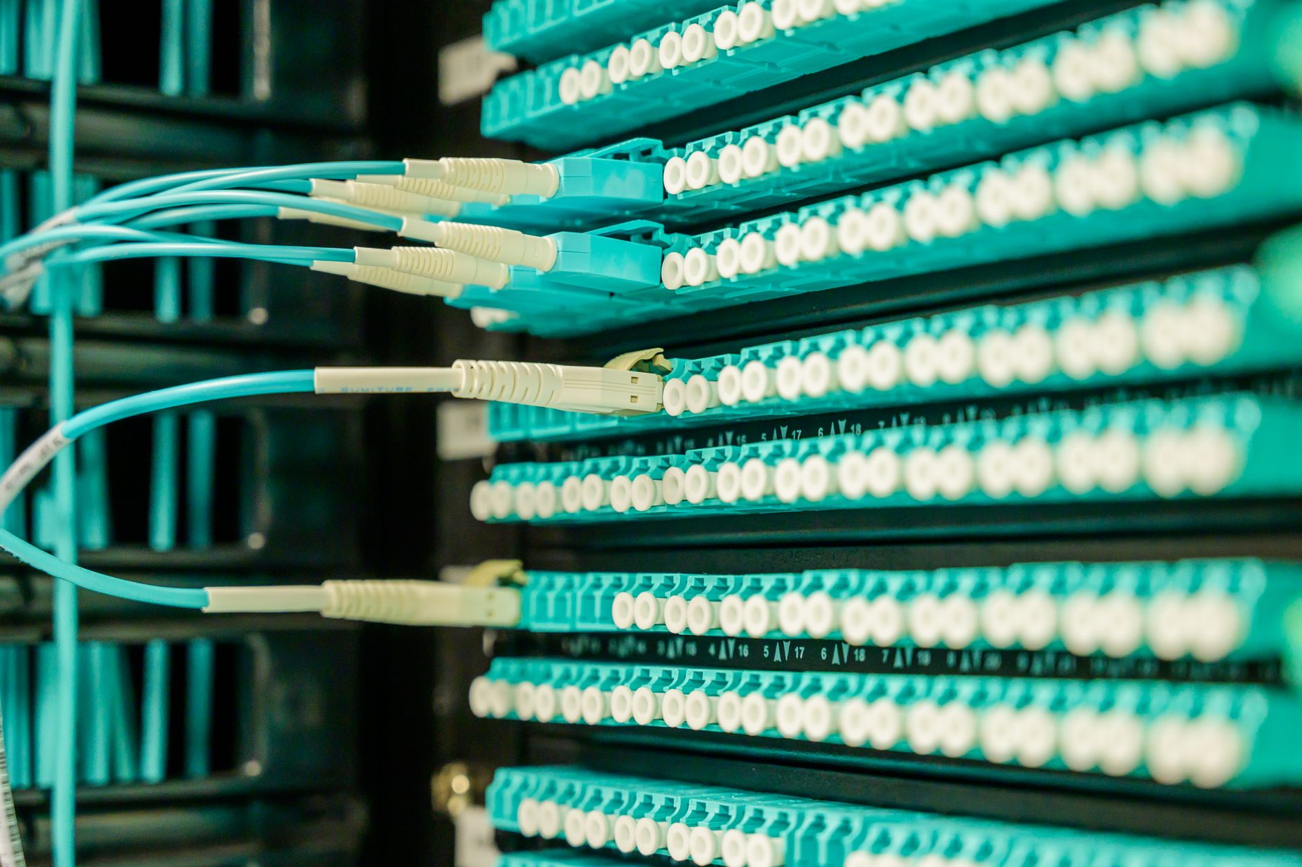 资源包已付款落到下载目录